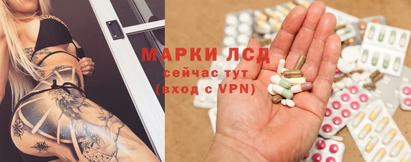 индика Каменногорск