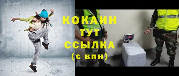 ECSTASY Инта