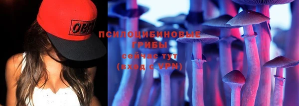 спиды Иннополис