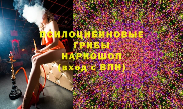 ECSTASY Инта