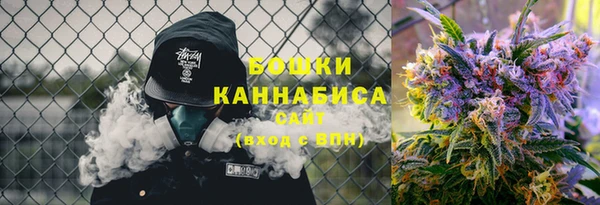 индика Каменногорск