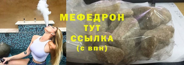 индика Каменногорск
