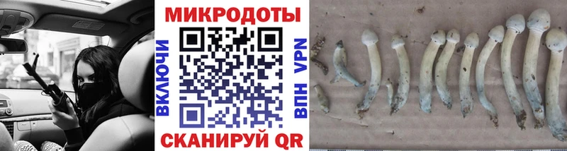 Купить закладки  Данков  Псилоцибиновые грибы Psilocybe 